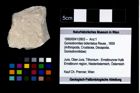 Foto (Objekt + Etikett) von Goniodromites bidentatus (Reuss, 1859)  (NHMW-GEO-1990-0041-2803)
